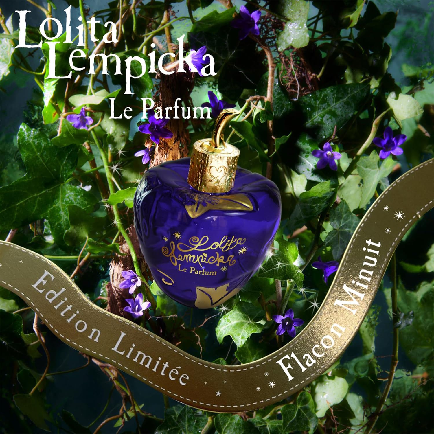 Lolita Lempicka Le Parfum Midnight licorice iris note enhances depth