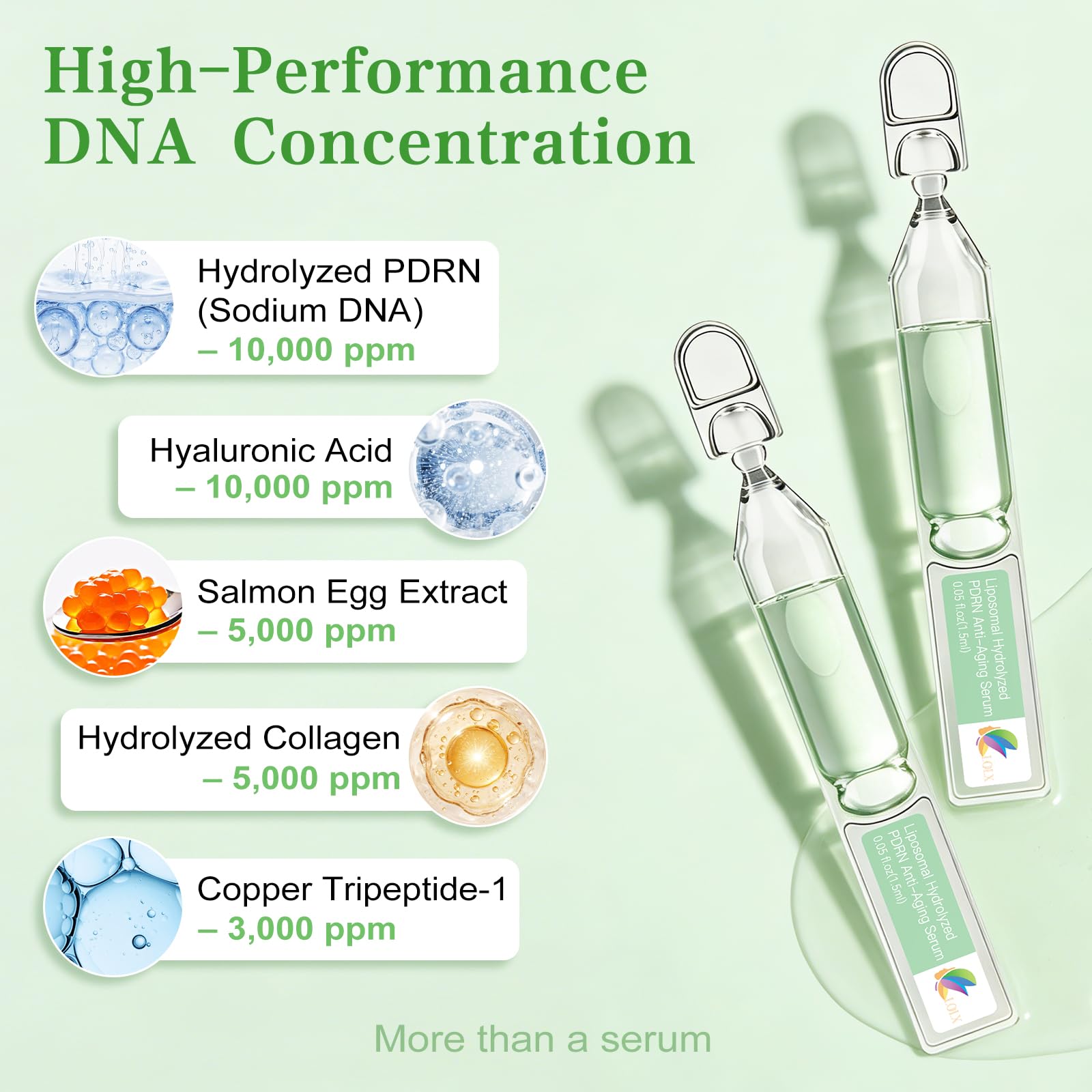 LOLX antioxidant peptide defense grid helps shield skin from environmental stress.