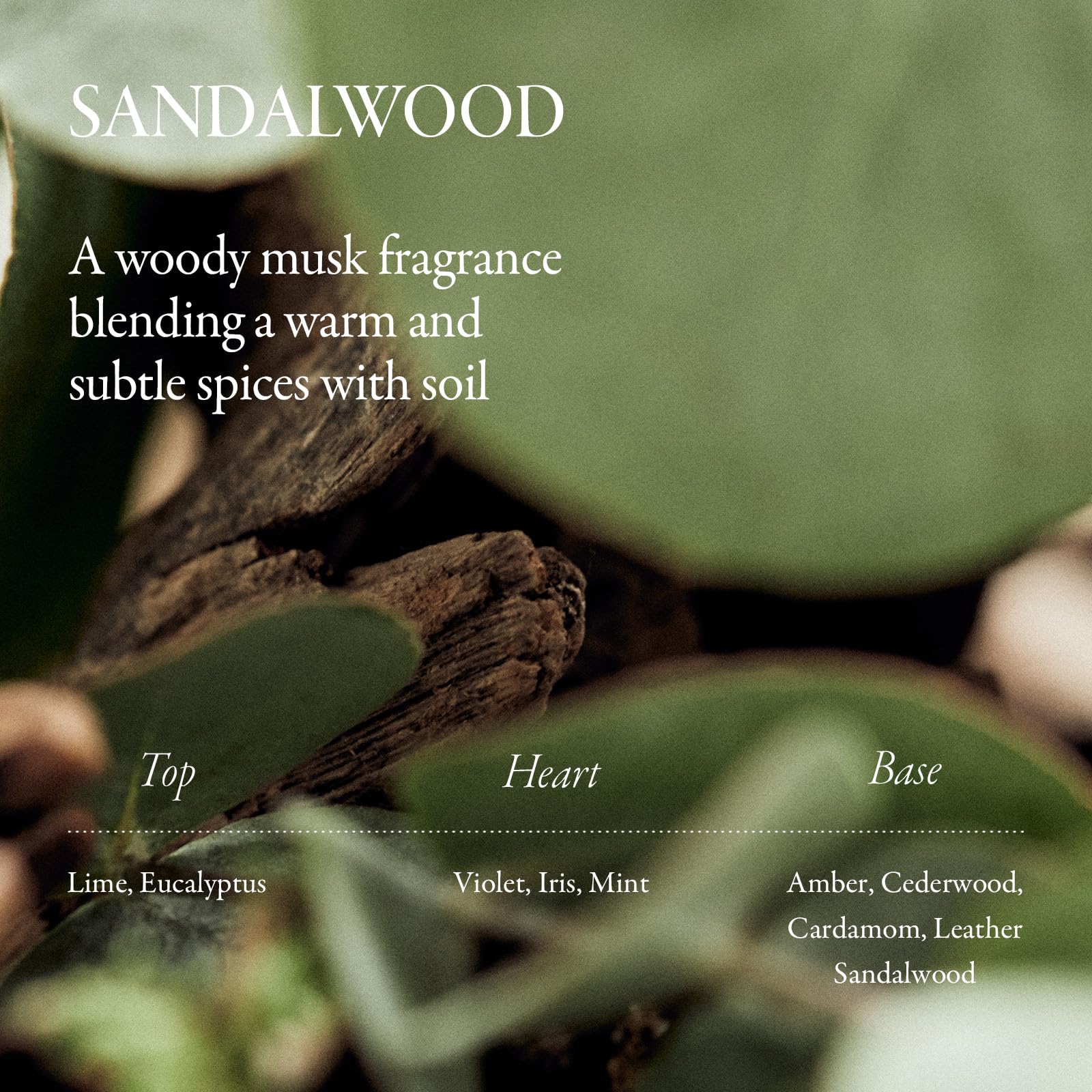 LONGTAKE Sandalwood Hair Oil nourishing oils support ends.
