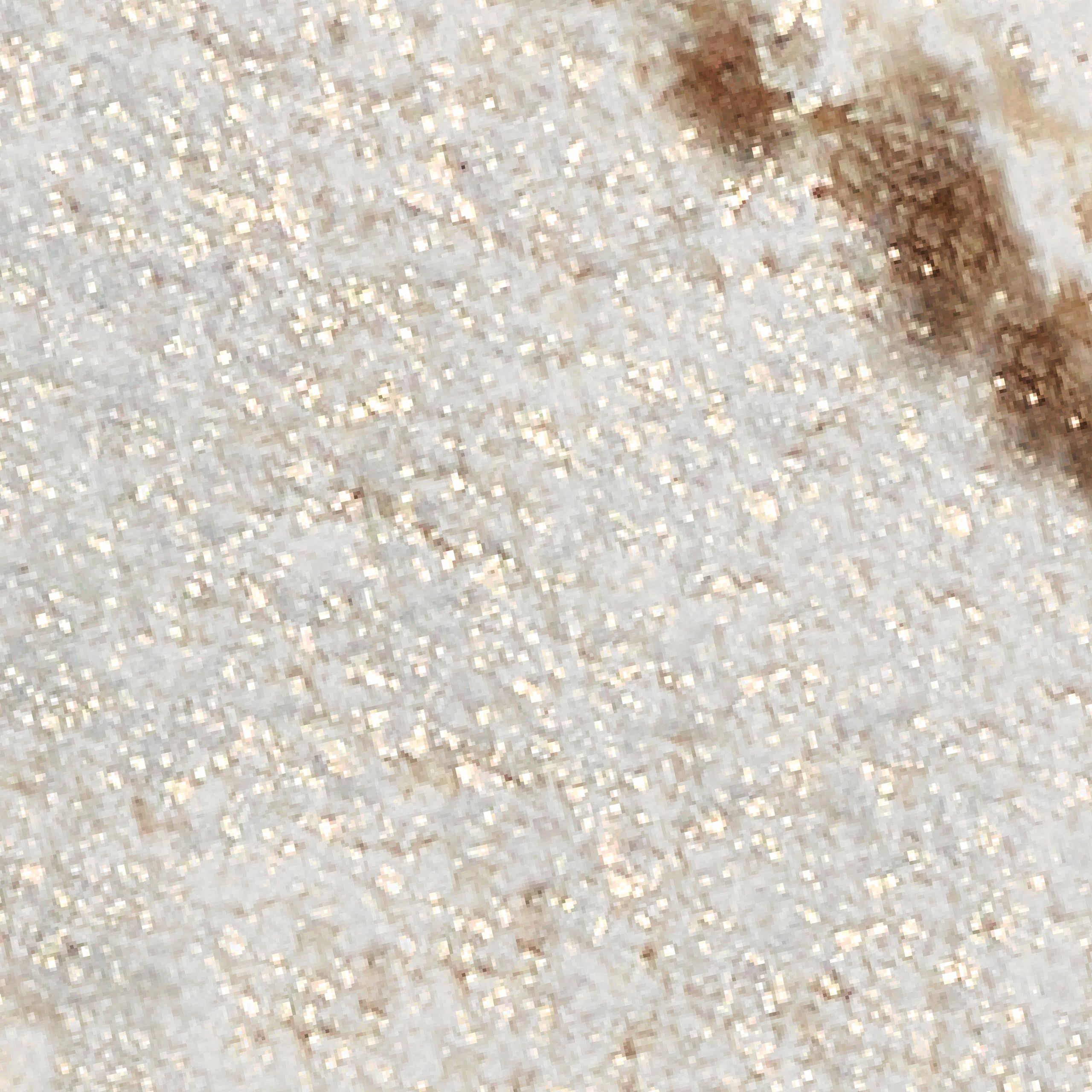 L'Oreal Paris Champagne Glow swatch with silver pearl shimmer