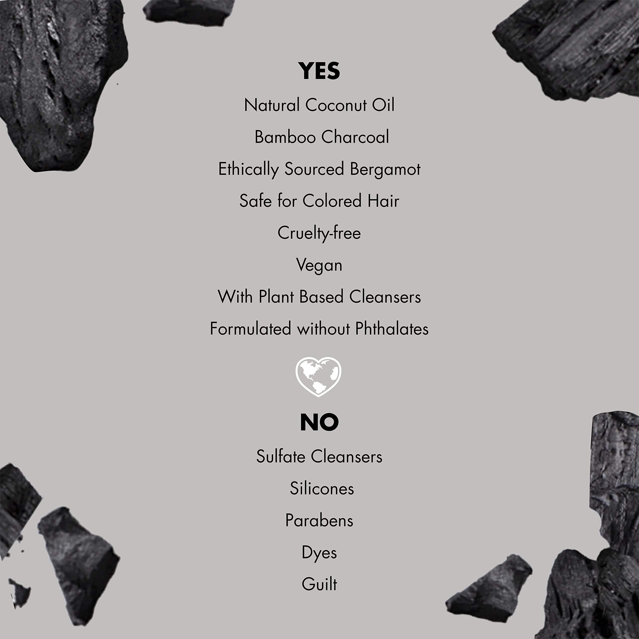 Charcoal coconut ingredients close up showing natural detox and hydration
