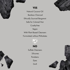 Charcoal coconut ingredients close up showing natural detox and hydration