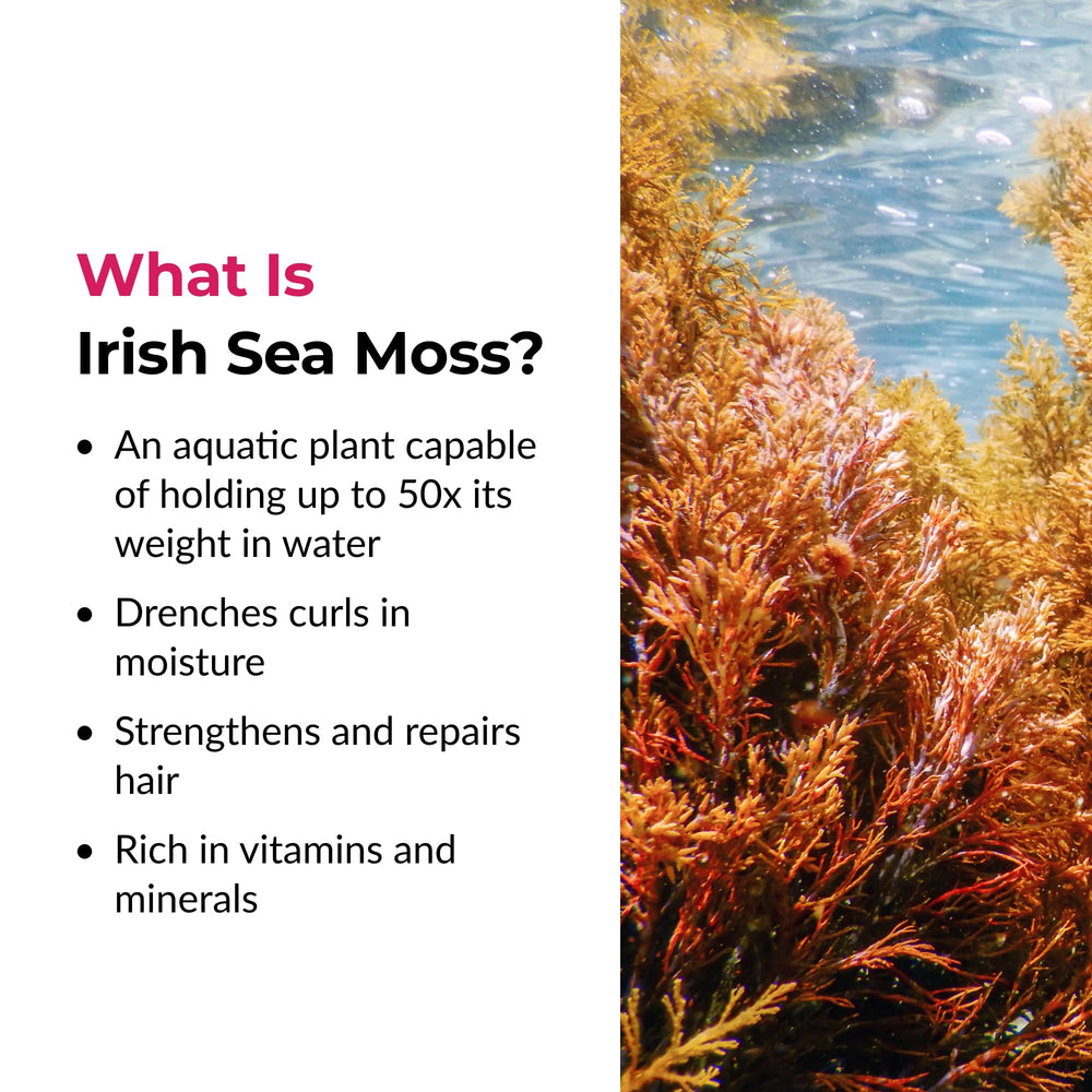 Love Ur Curls Irish Sea Moss Hair Gel includes acai and fruit oil ingredients.
