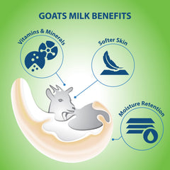 Lover's Care Goat Milk Lotion creamy texture ready for quick absorption.