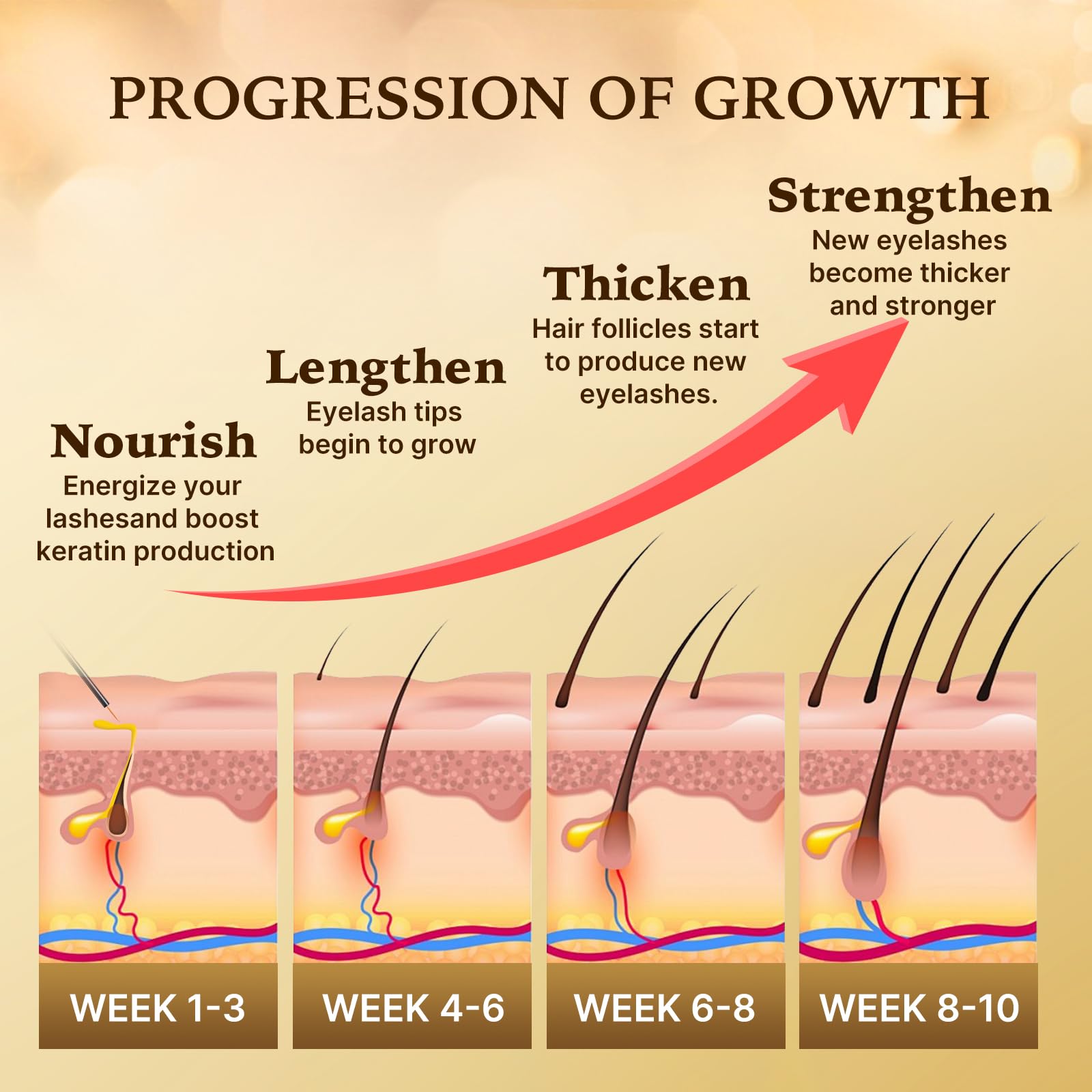 Lunale application routine image demonstrates morning and evening use.