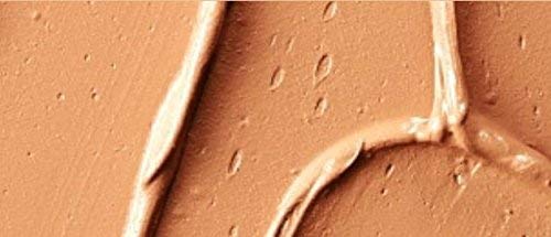 MAC Pro Full Coverage Foundation NC45 swatches reveal shade depth and finish options