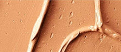 MAC Pro Full Coverage Foundation NC45 swatches reveal shade depth and finish options