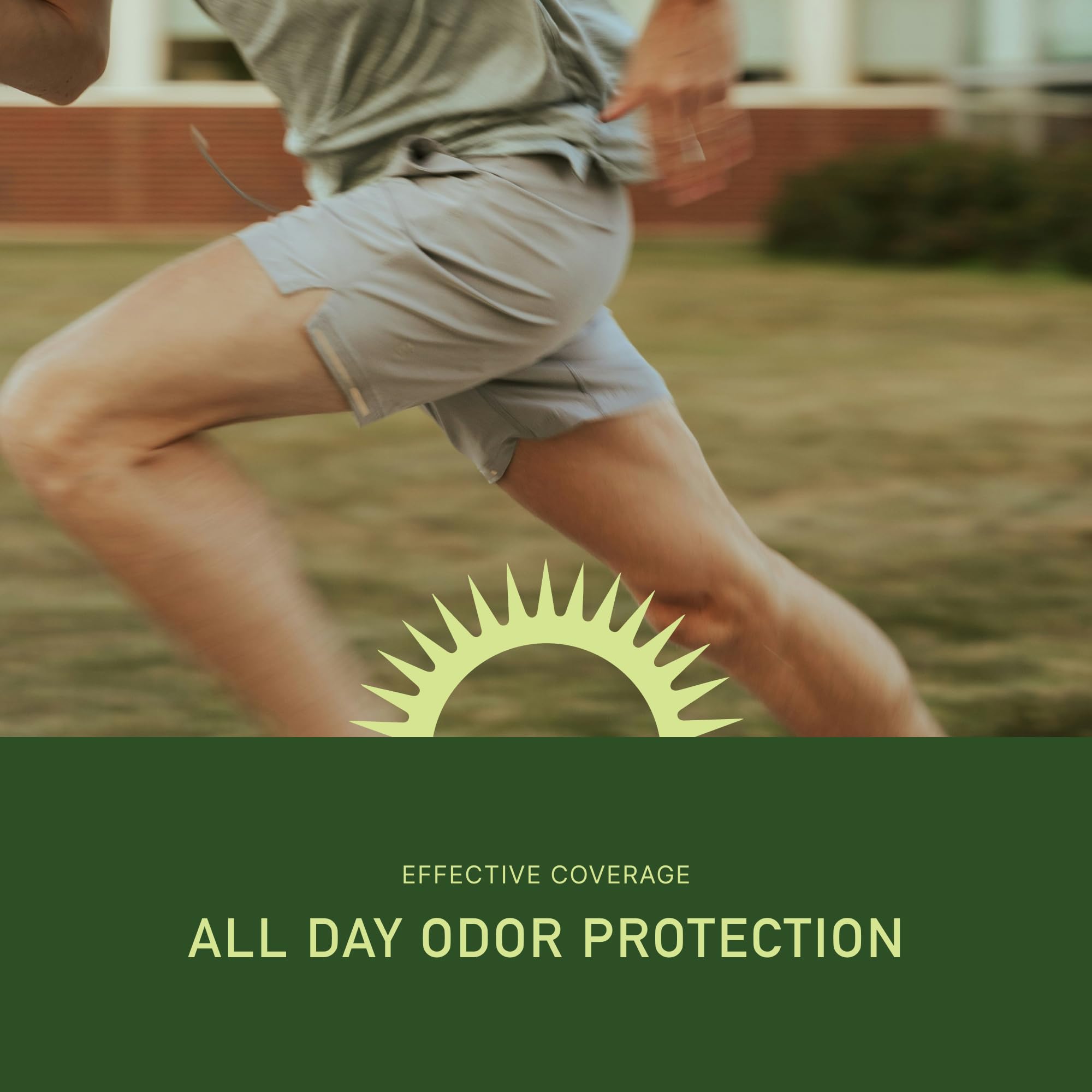 MAGSOL lemongrass fragrance offers a fresh daily scent