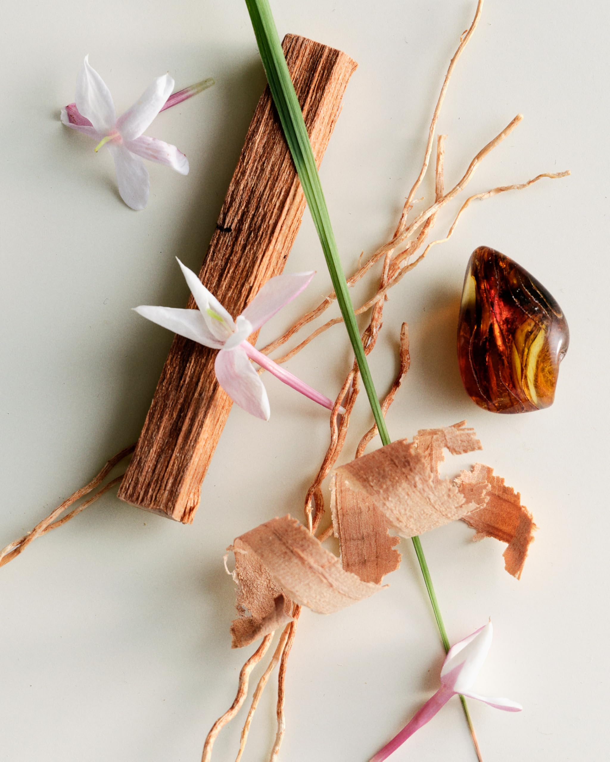 Scent story highlights woody notes of Bois De Balincourt.