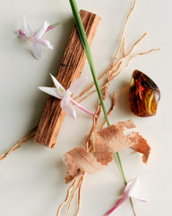 Scent story highlights woody notes of Bois De Balincourt.