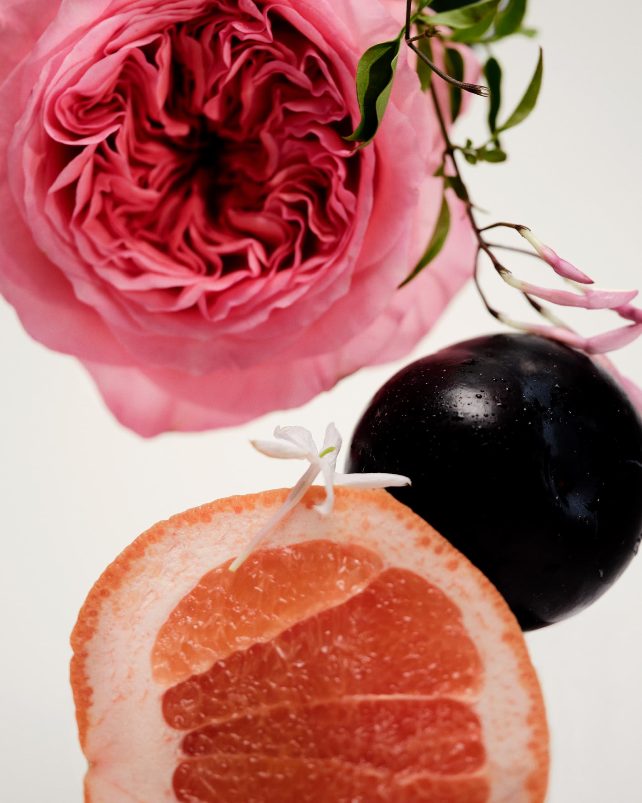 Close-up of Icila label showing vegan and cruelty-free branding.