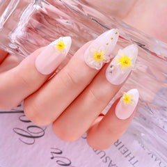 48 dual forms from Makartt for consistent nail extensions.