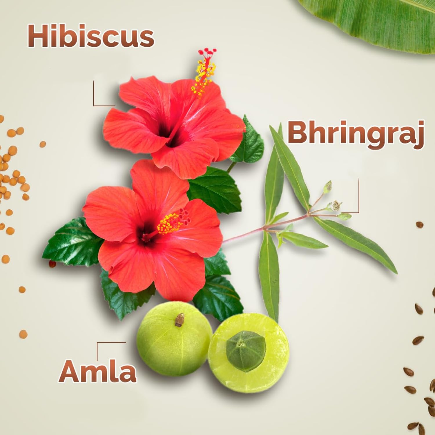 Mamaearth 11-herb blend arranged for hair care inspiration
