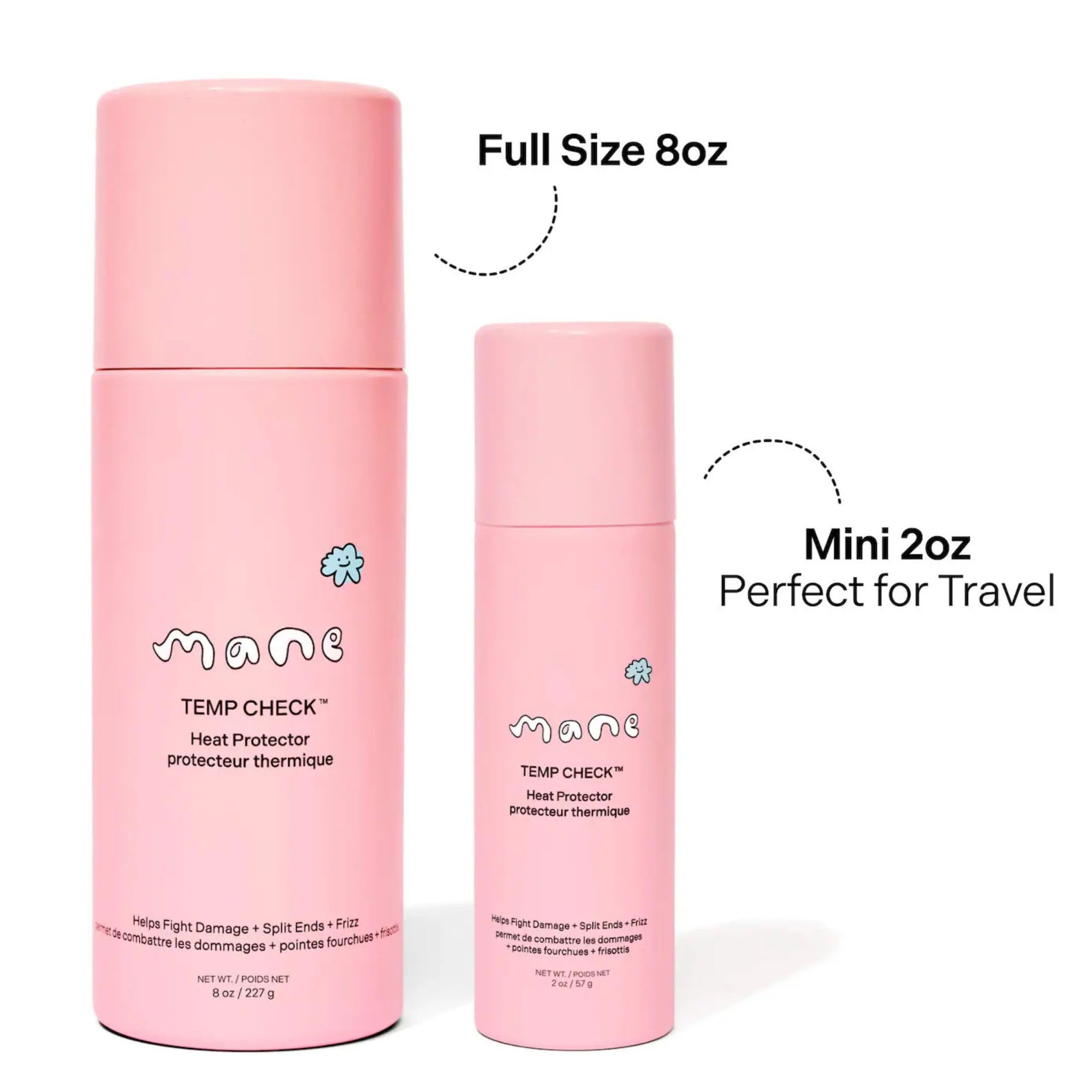 Styling scene showing Mane Temp Check delivering a sleek finish after styling.
