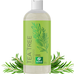 Maple Holistics clarifying shampoo bottle with tea tree for oily hair cleansing.