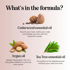 Maple Holistics shampoo with cedarwood and tea tree oil nourishes scalp during daily washes.