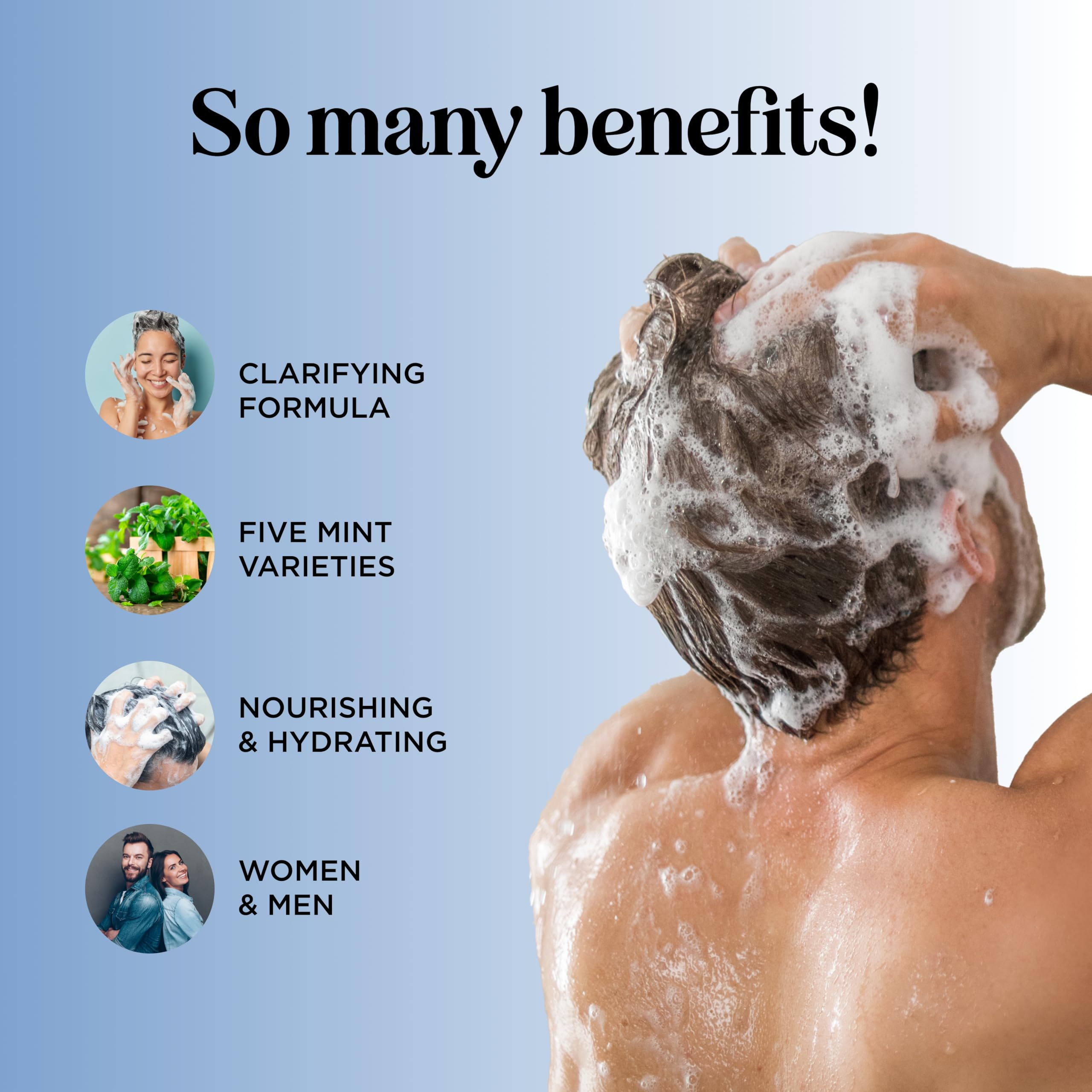 Maple Holistics deep clarifying shampoo ingredient banner highlights mint oils for scalp refresh.