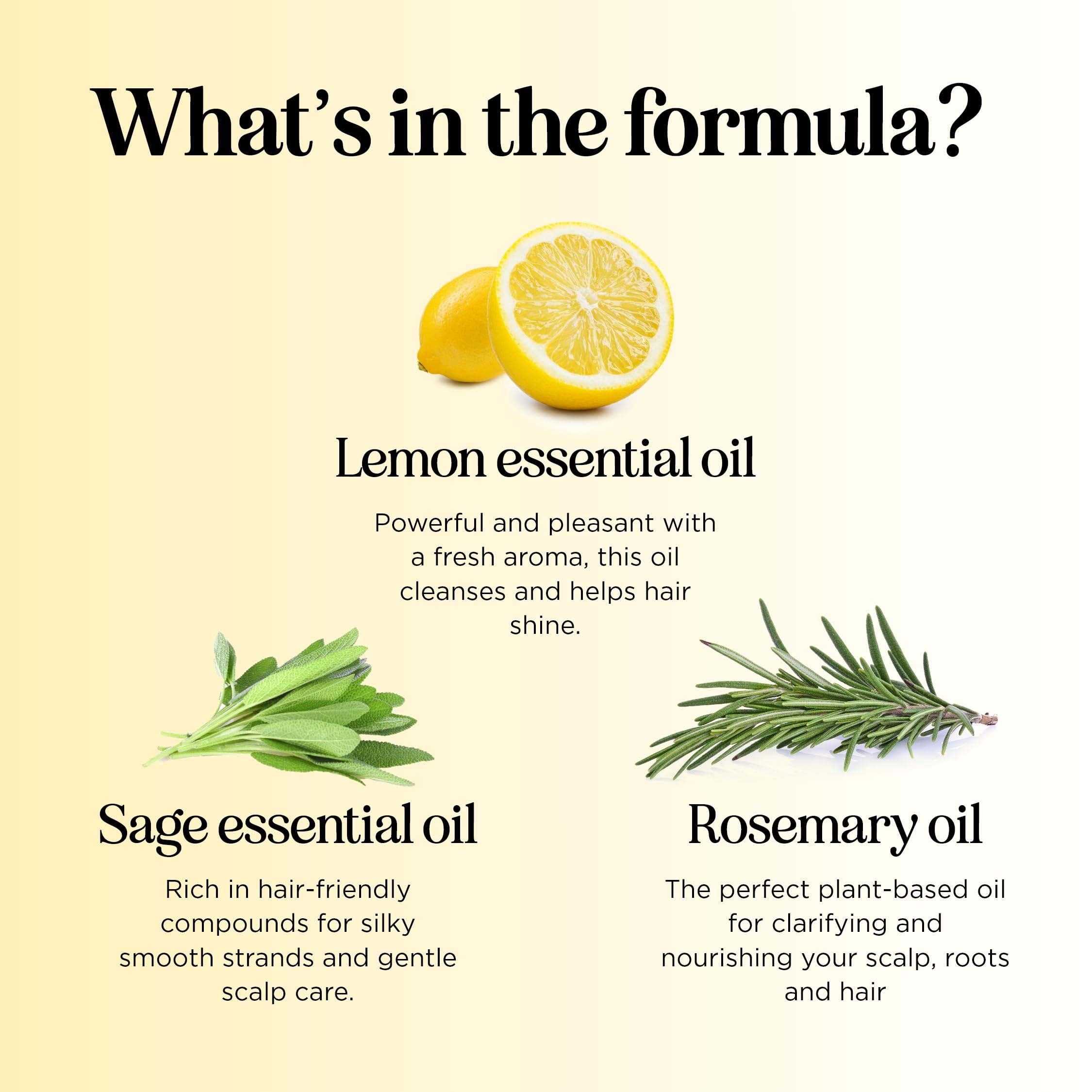 Maple Holistics plant proteins hair care visual for strength and bounce