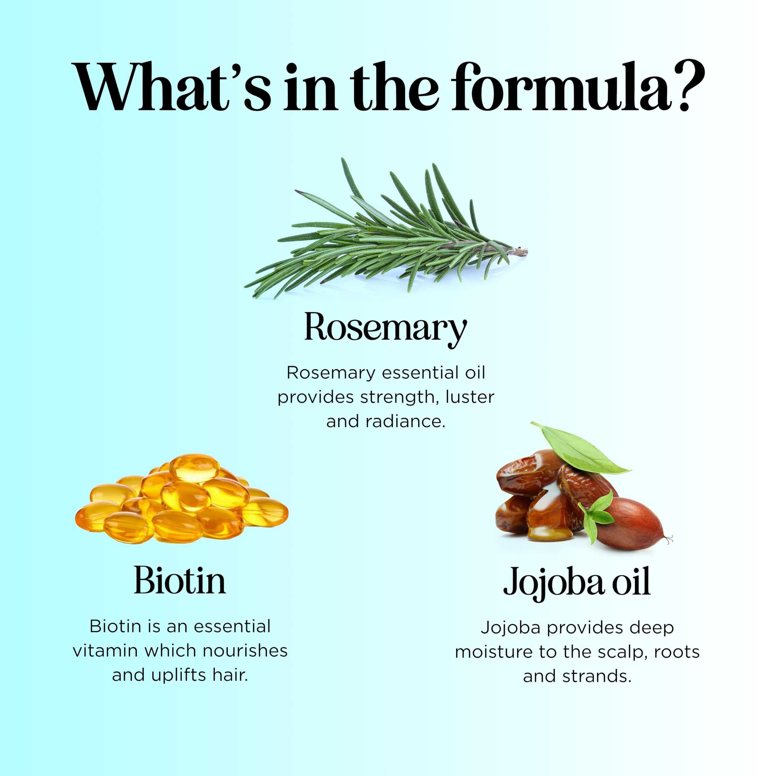 Maple Holistics Rosemary Biotin Conditioner bottle ready for nourishing care.
