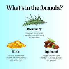 Maple Holistics Rosemary Biotin Conditioner bottle ready for nourishing care.