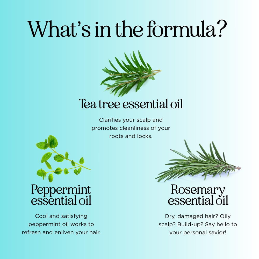 Maple Holistics Rosemary Tea Tree Mint Shampoo soothing minty aroma for a clarifying cleanse.