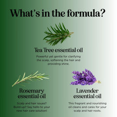 Maple Holistics Tea Tree Oil feature on bottle shows natural ingredients