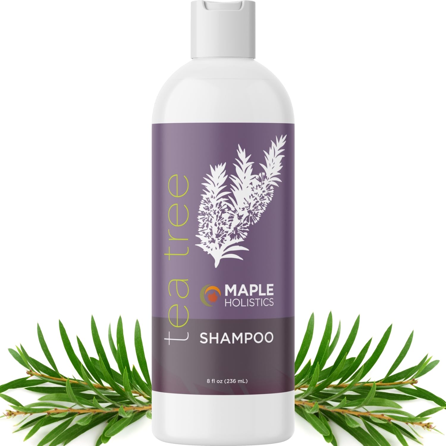 Maple Holistics Tea Tree Shampoo bottle highlights a clarifying formula for oily hair.