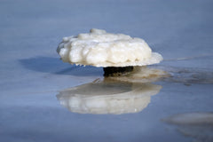 Marco Esra Dead Sea salts for shower use providing refreshing mineral cleanse.