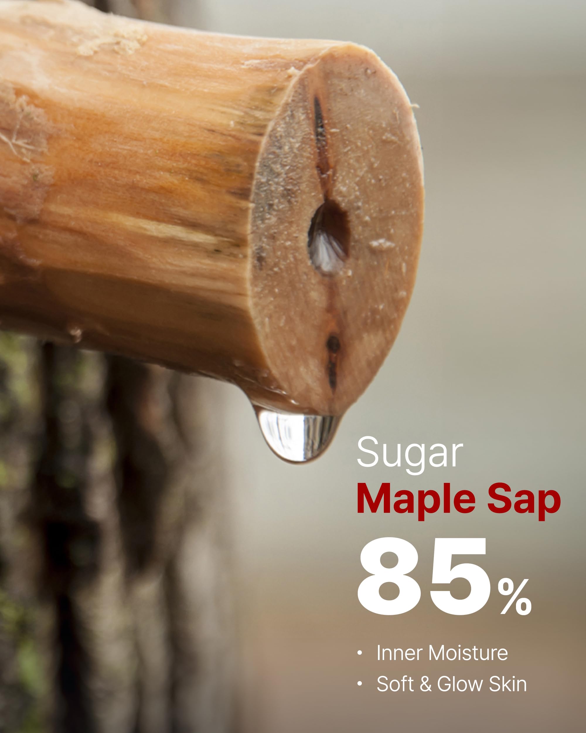 Maple sap content highlights 85% maple sap for moisture balance.