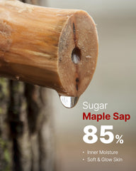 Maple sap content highlights 85% maple sap for moisture balance.