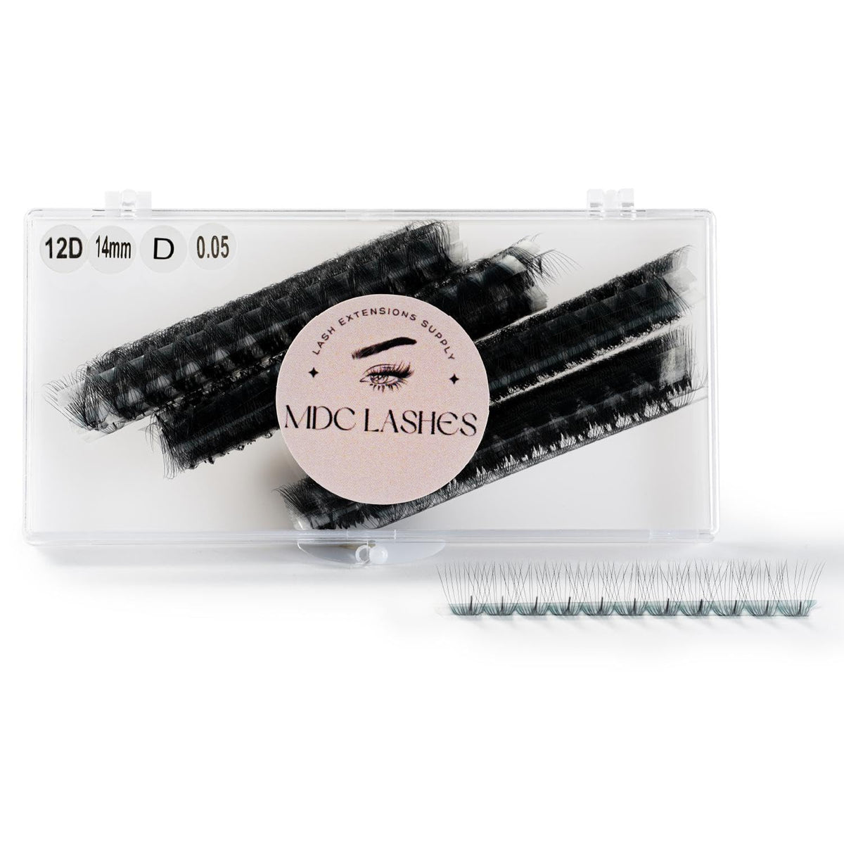 MDC LASHES Promade fans ready for ultra-speed application and consistent volume.