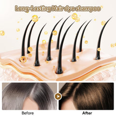 MEIDU Chestnut Brown Dye Shampoo on hair demonstrates gray coverage and shine