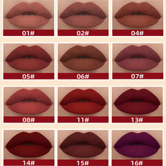 Melemando 12-piece set on lips demonstrates rich color payoff and velvety finish.