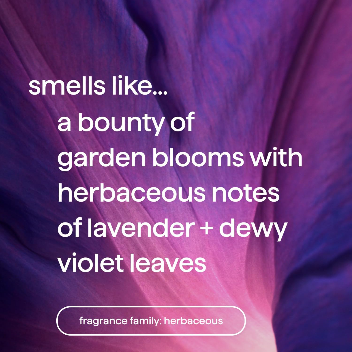 Close-up of Violet + Lavender label on Method refill bottle.