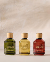 Michael Malul Marley Lights Down Low sea salt and mandarin opening for fresh intrigue