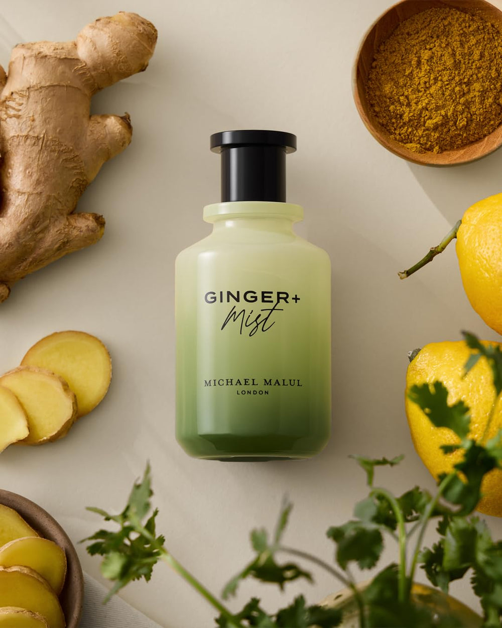 Michael Malul Ginger + Mist note graphic—visual of fresh-herb and spice layers.
