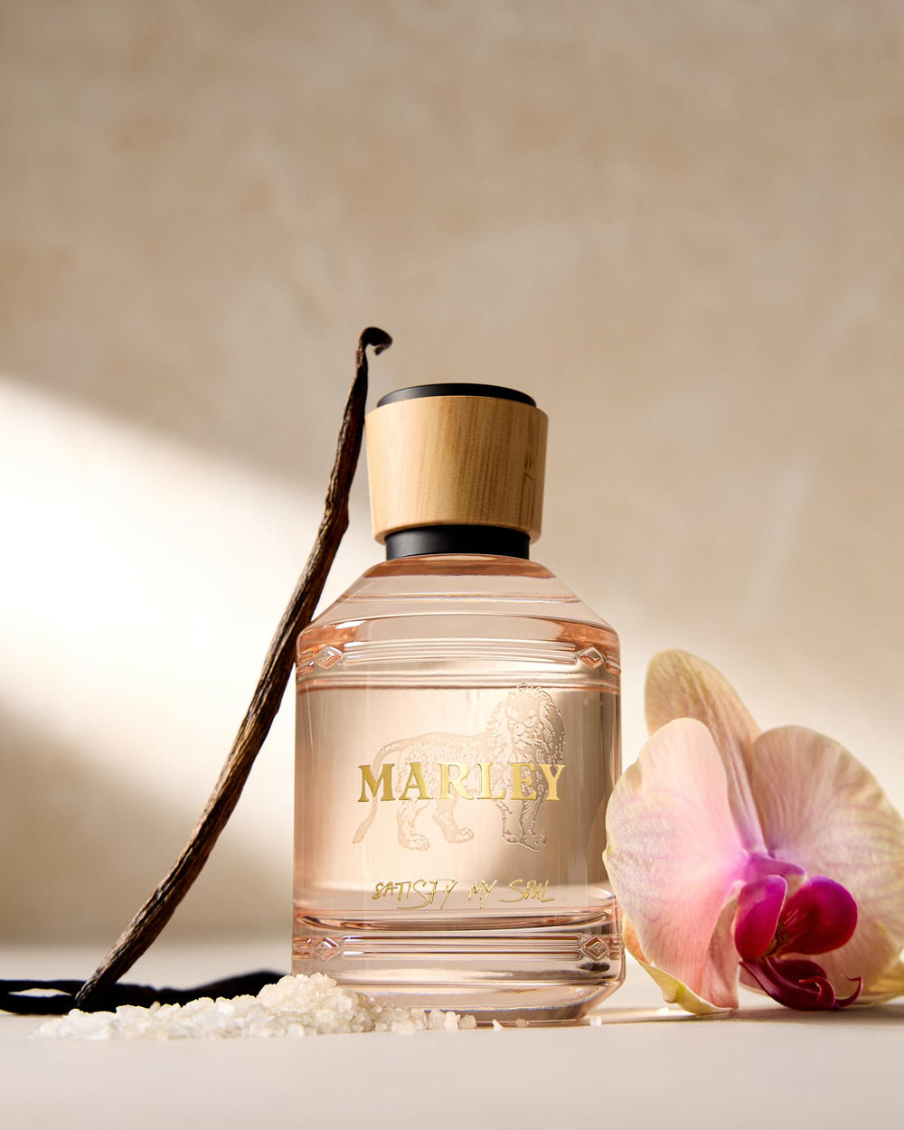 Michael Malul Marley Satisfy My Soul vanilla absolute note detail for cozy evenings