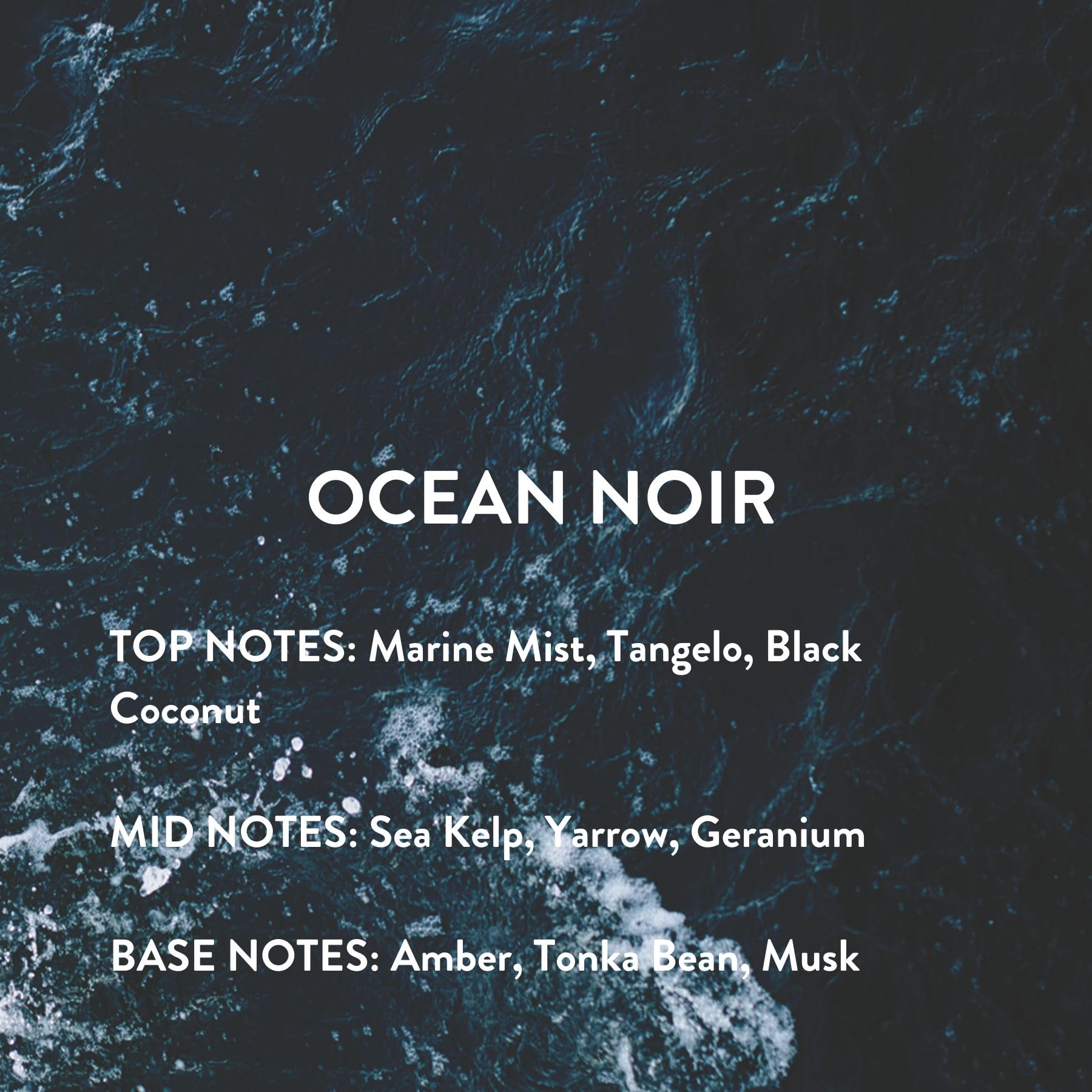 Display shot featuring the complete Ocean Noir set and sleek branding.
