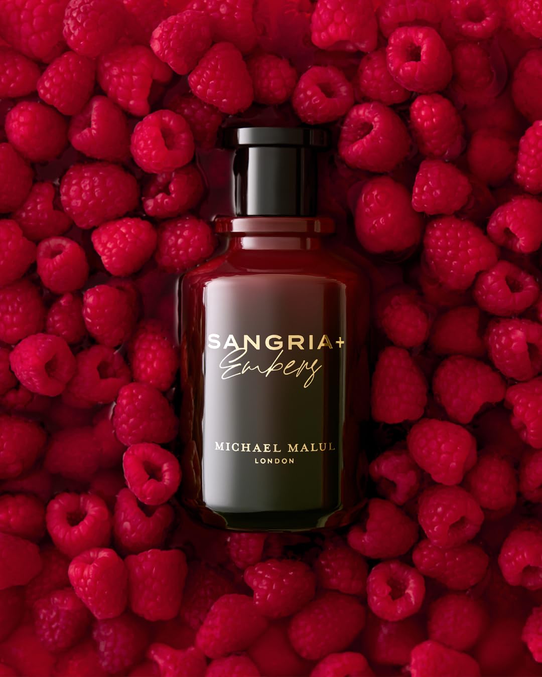 Michael Malul Sangria+Embers closeup notes amber and spice hint at warmth