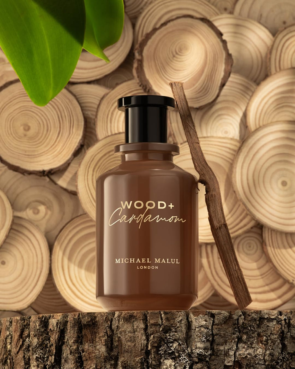 Bottle with wooden cap detail from Michael Malul Wood + Cardamom.