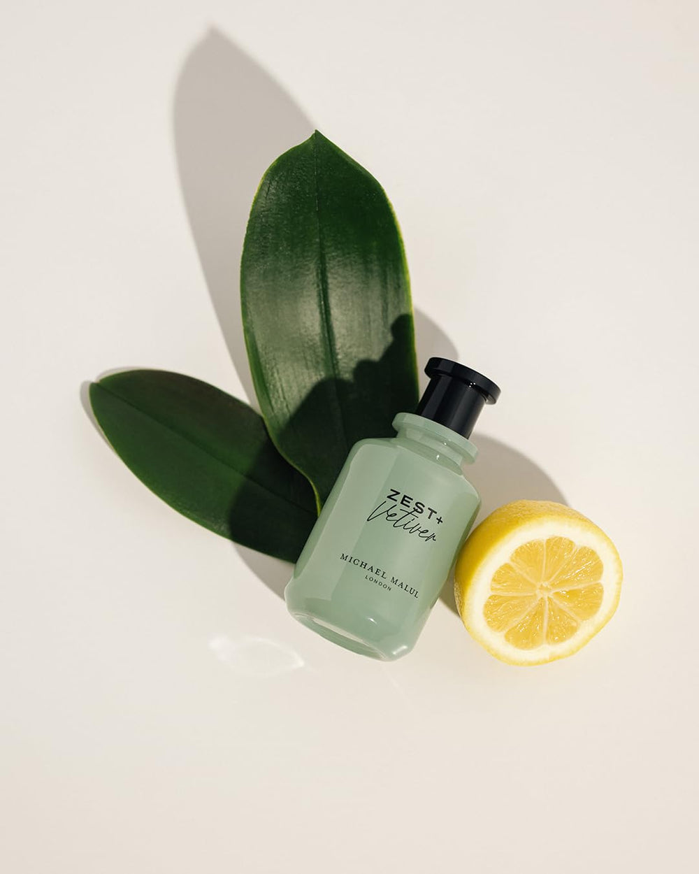 Amber and vetiver base tones provide warm depth.