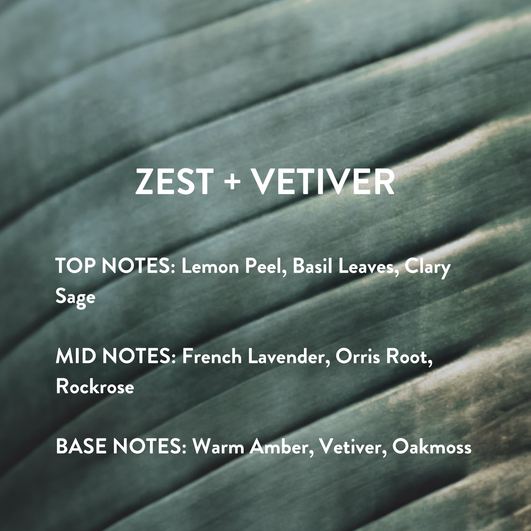 Lemon-basil top-notes visual detail in Zest Vetiver.