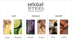 Michel Germain Sexual Steel Pour Homme packaging box, gift-ready