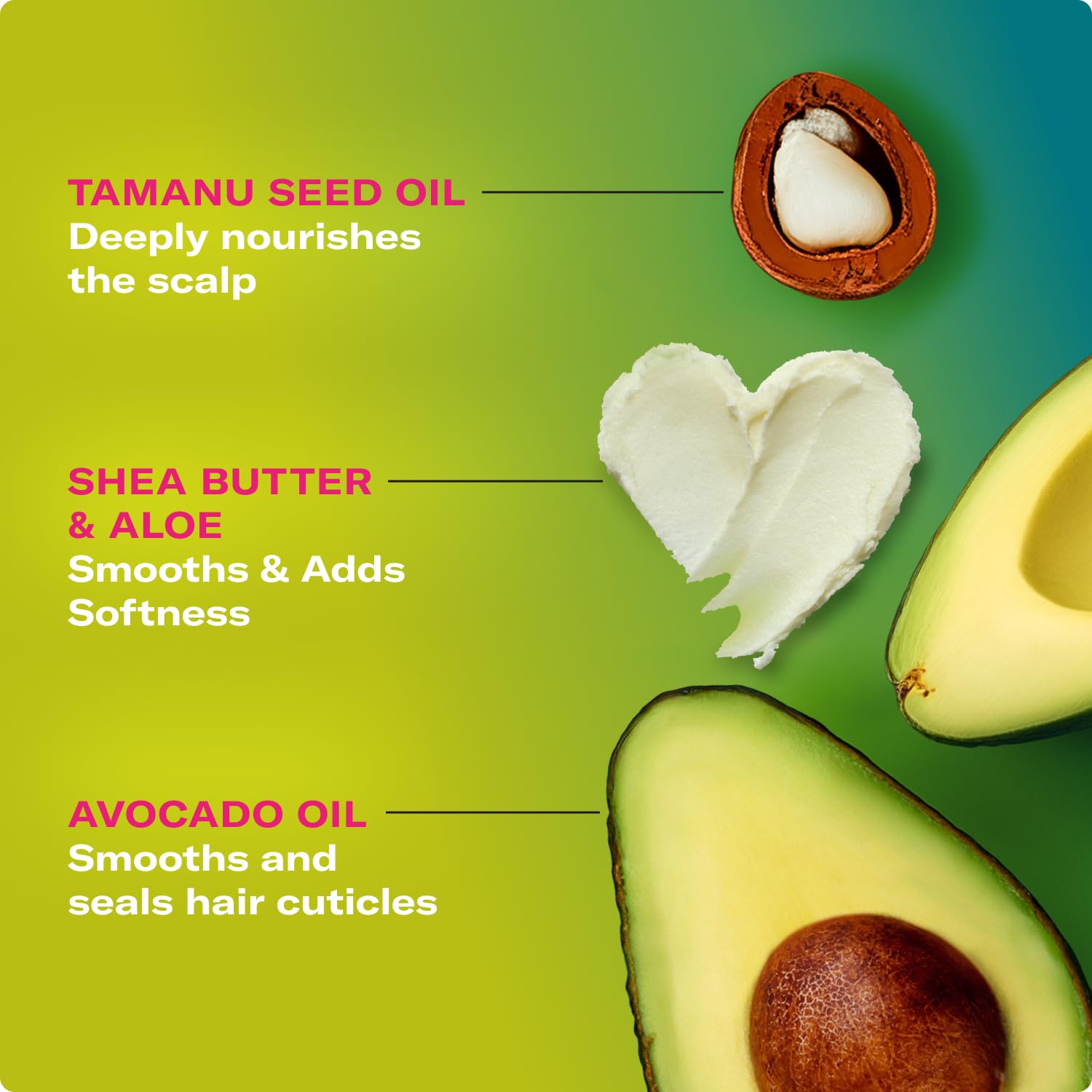 Mielle Avocado & Tamanu anti-frizz cream for defined curls in textured hair.