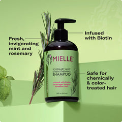 Babassu oil focus highlights lightweight moisture for dry hair