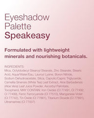 Mineral Fusion Speakeasy skin swatch showing even tone and finish