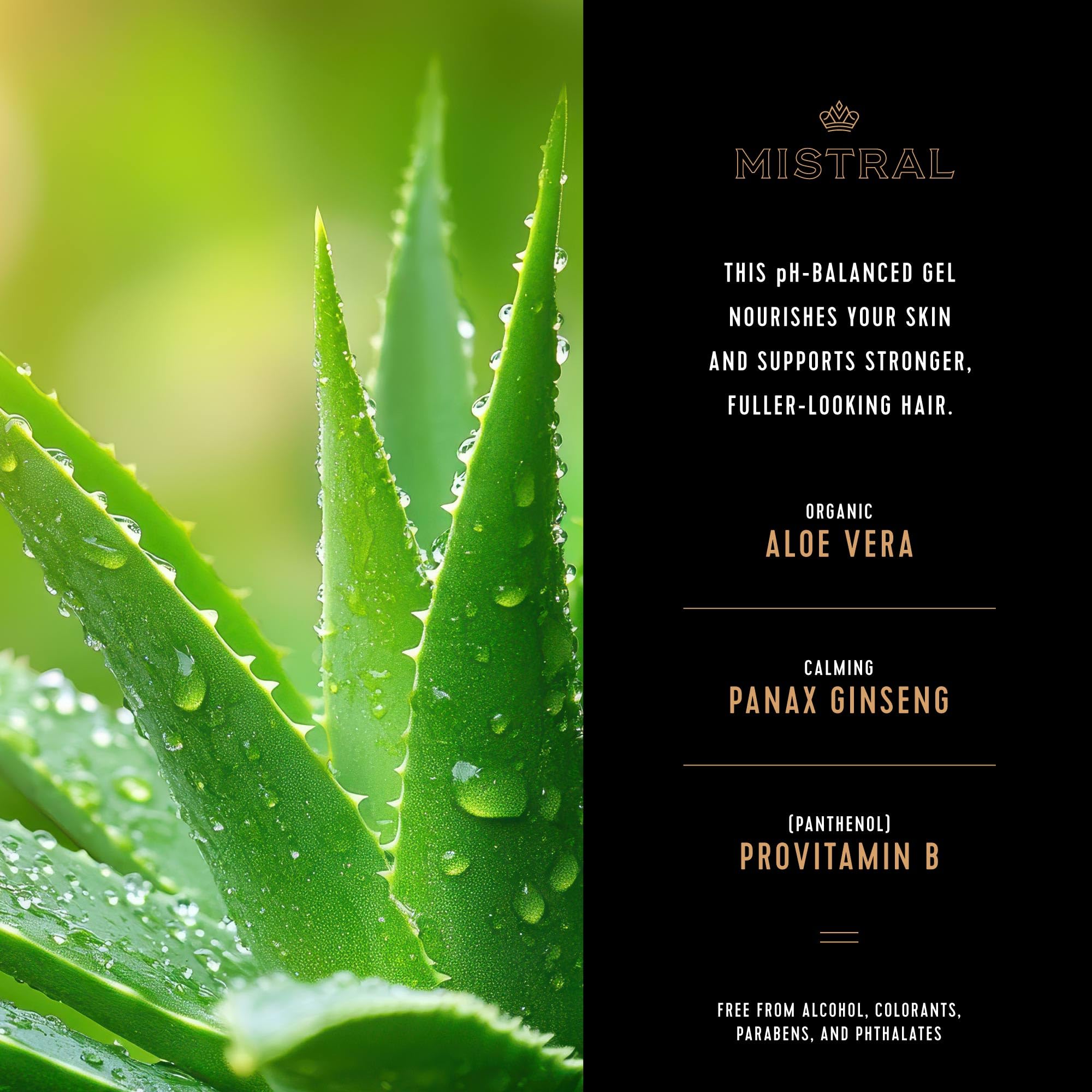 Mistral organic aloe vera plant close-up signaling soothing hydration.
