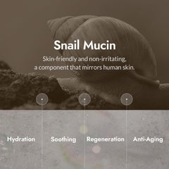 MIZON cleanser showing gentle exfoliation for refined pores.