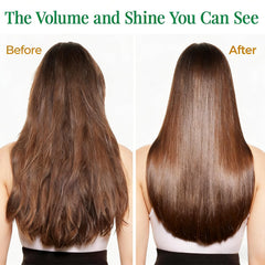 MMPANG Rosemary Oil on scalp treatment for refreshed roots.