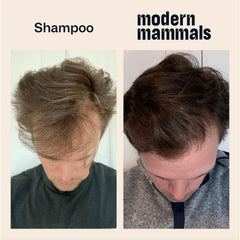 Modern Mammals Light Shampoo Bar packaging highlights eco-friendly materials.